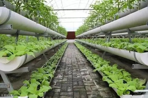 水肥一體化自動控制系統讓農業節水、節肥、節能